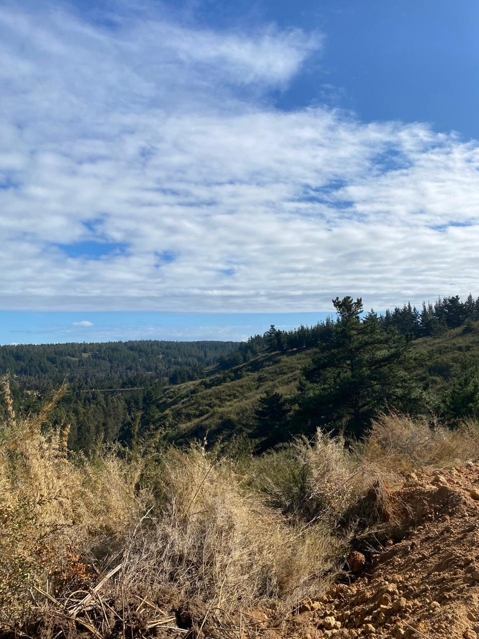 Vista de cerros y bosque desde el fundo