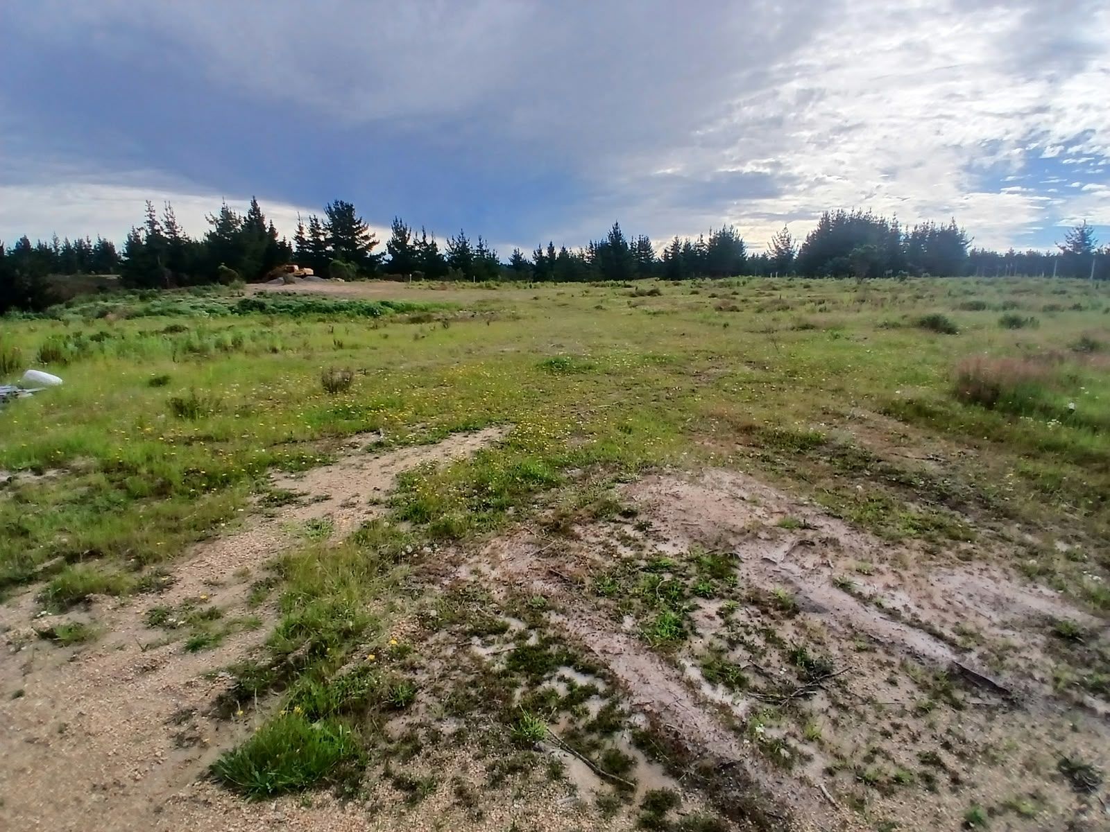 Terreno del sector plano