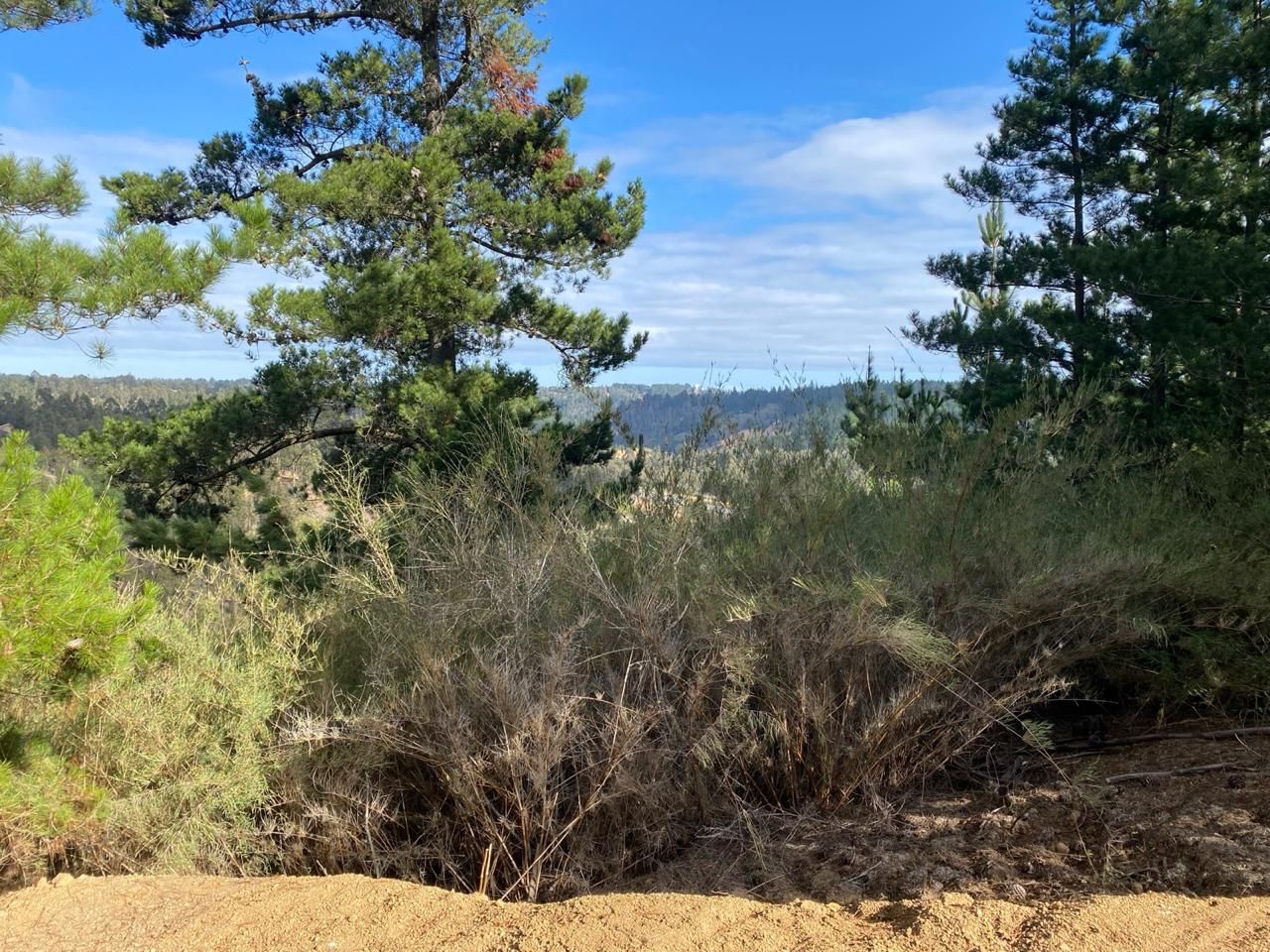 Vista hacia la quebrada Los Coligües